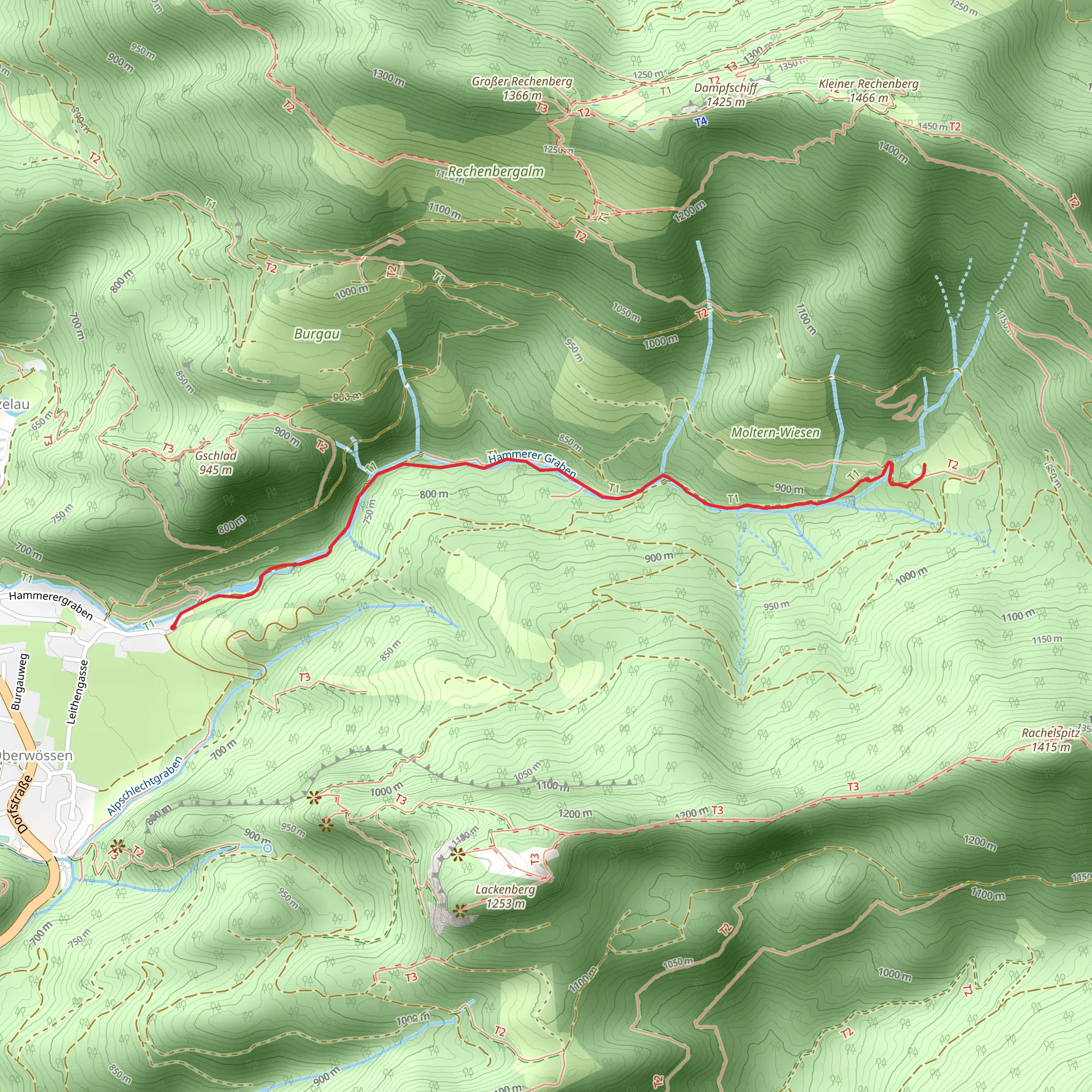 Feldlahnalm Walk via Wanderweg 75 - Wössen mobile static map
