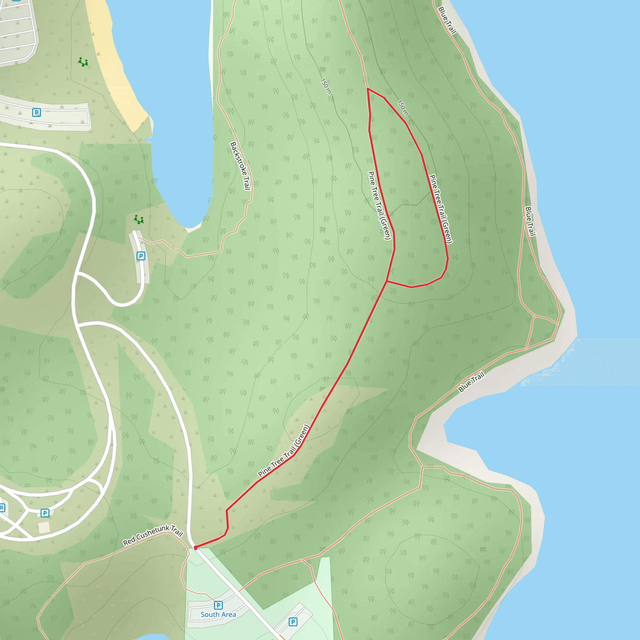Pine Tree Trail - Green mobile static map