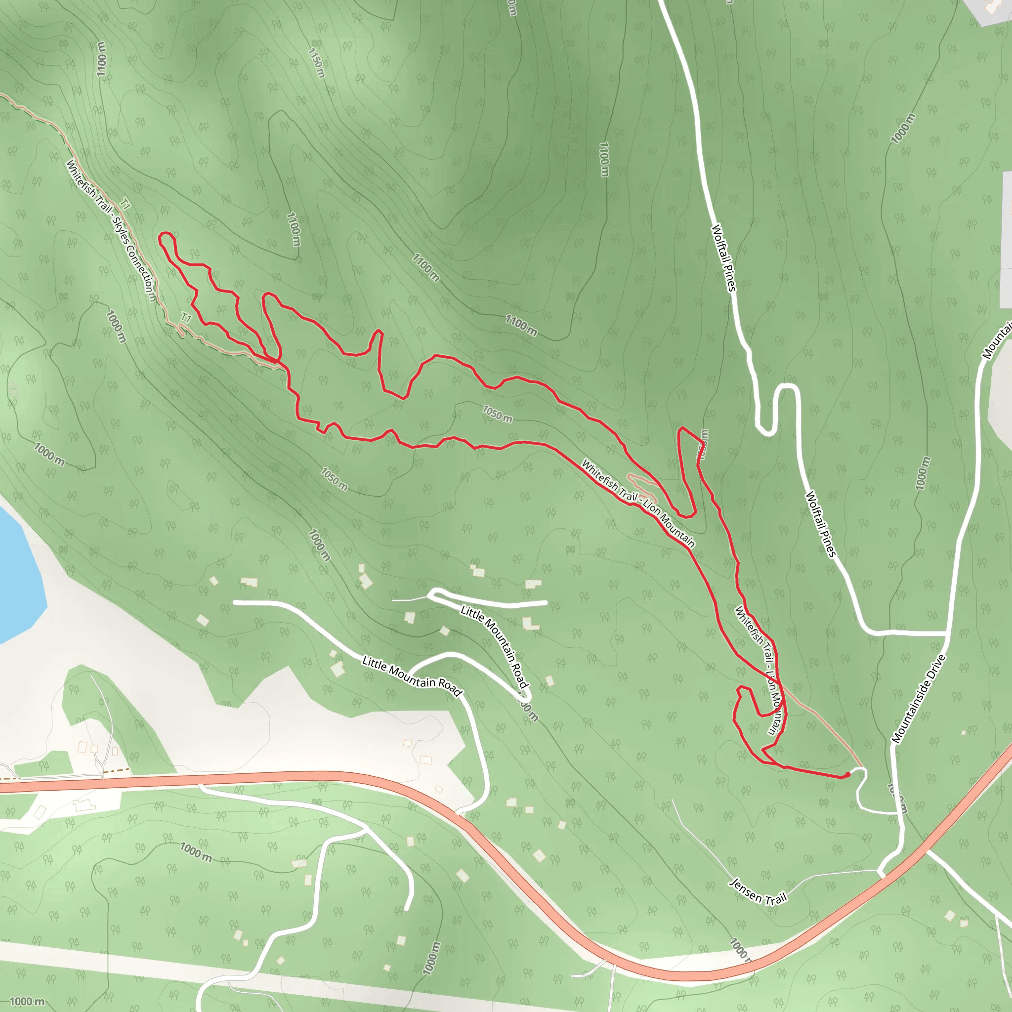 Whitefish Trail - Lion Mountain Loop mobile static map