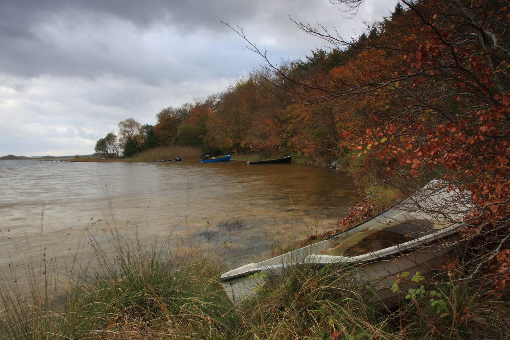 An image depicting the trail Moorehall Walk and its surrounding area.