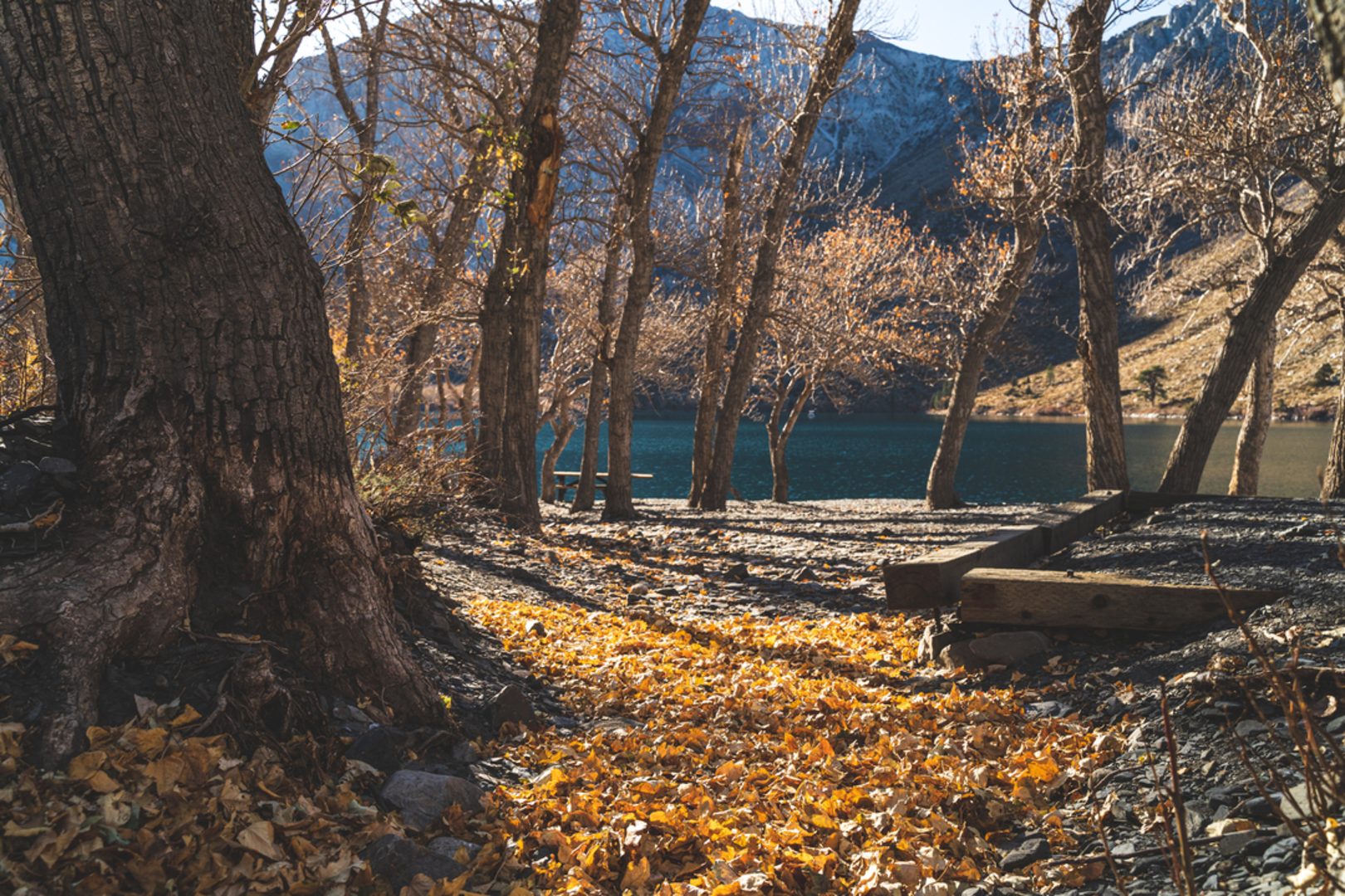 An image depicting the trail Convict Lake Visitor Trail and its surrounding area.