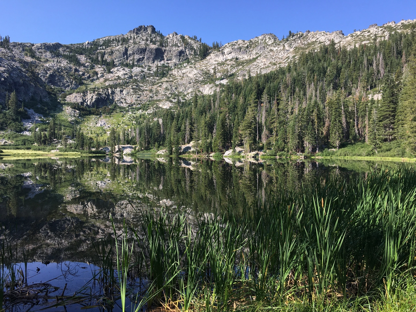 An image depicting the trail Tangle Blue Lake Trail and its surrounding area.