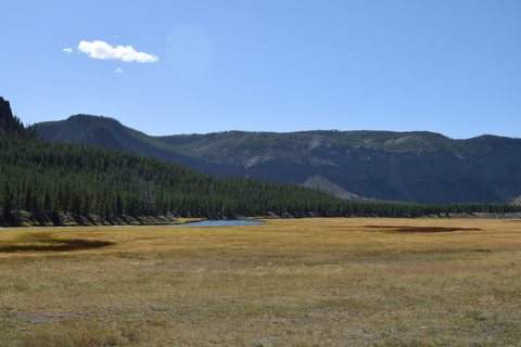 An image depicting the trail Buffalo Plateau via Hellroaring Creek Trail and its surrounding area.