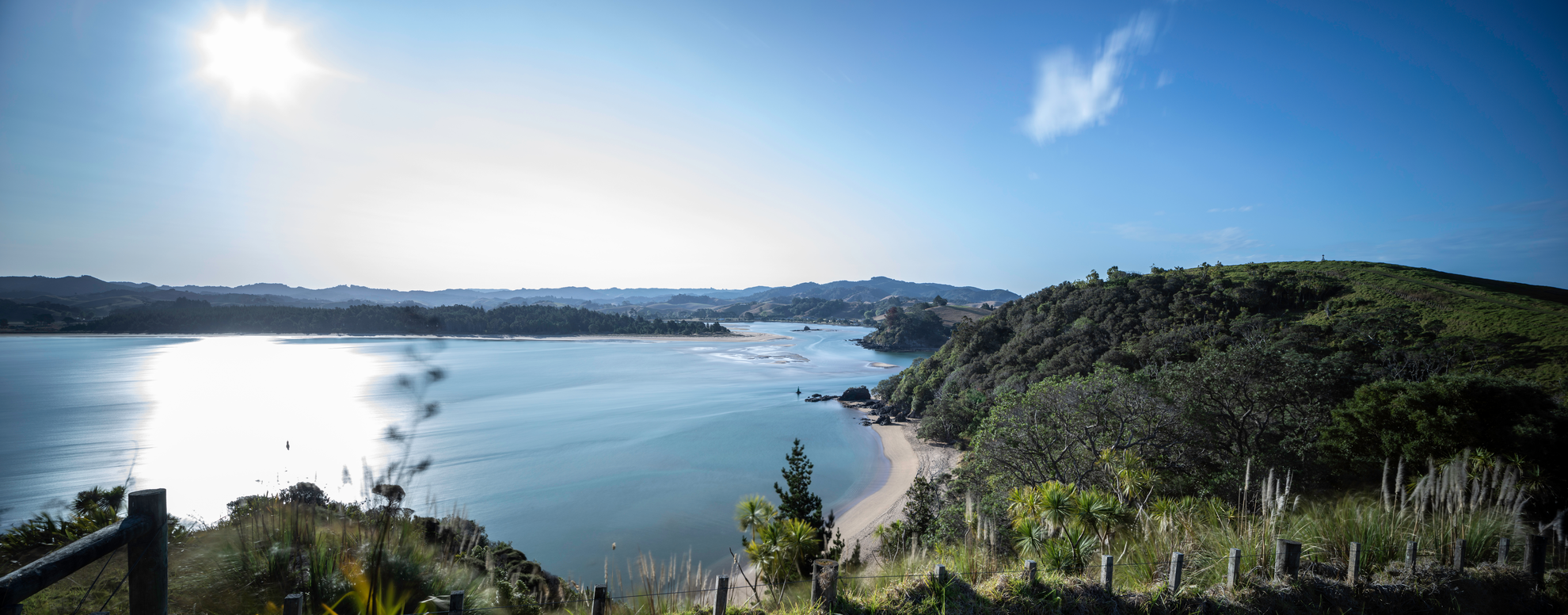 An image depicting the trail Morepork Track to Whananaki and its surrounding area.