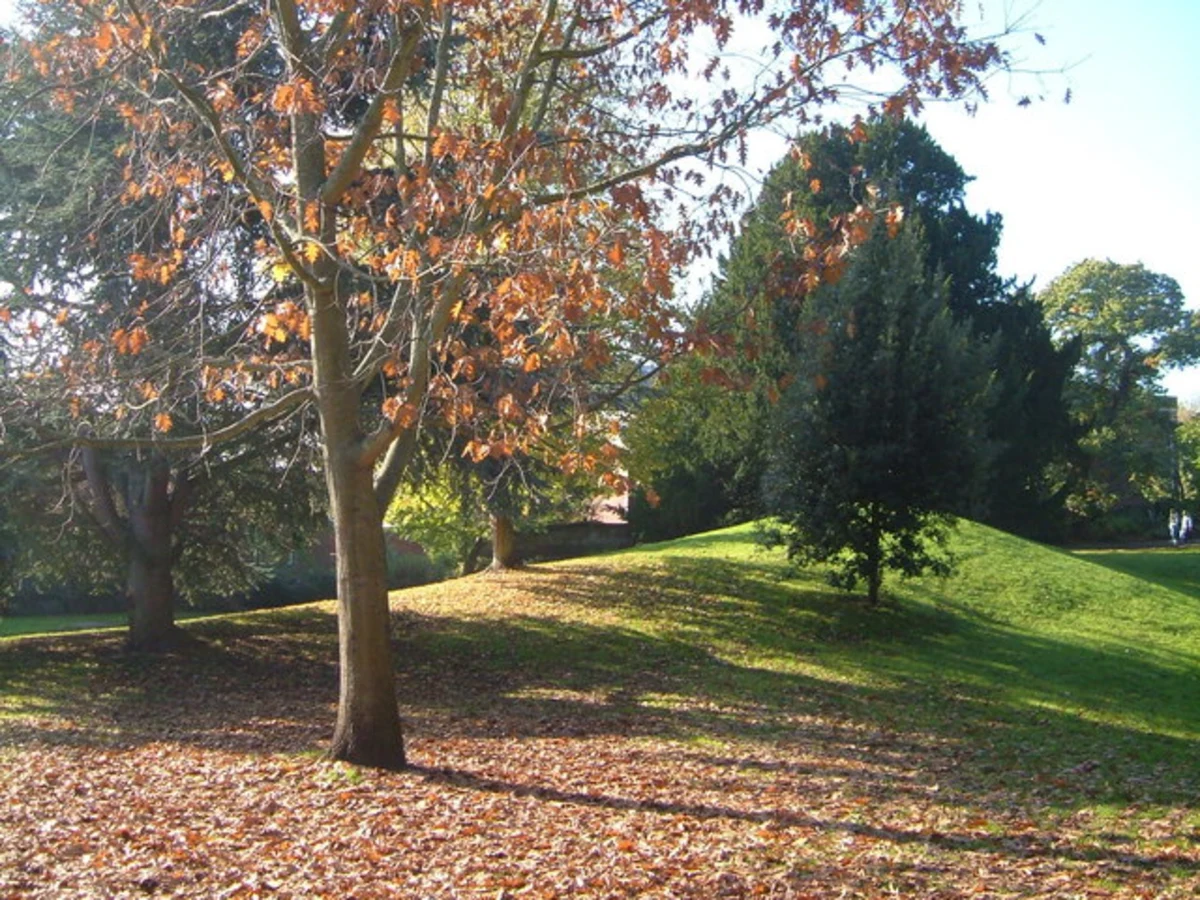 Cathedral Green and Rougemont Garden