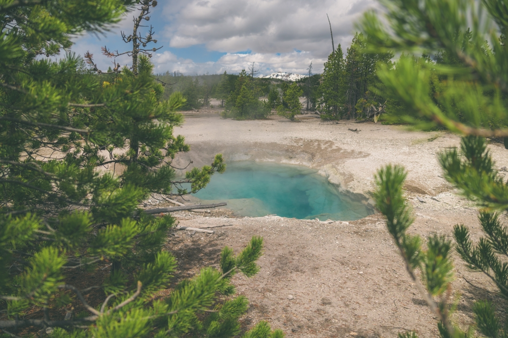 An image depicting the trail Norris Campground to Norris Basin Loop Trail and its surrounding area.