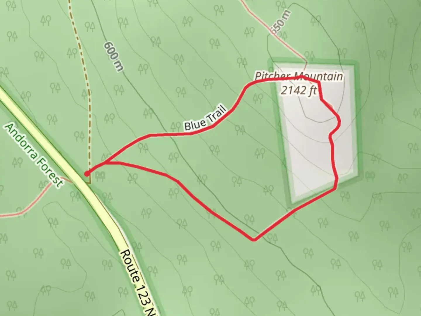 An image depicting the trail Pitcher Mountain Loop and its surrounding area.