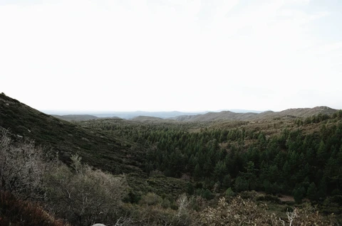 An image depicting the trail Redtail Roost and Agua Dulce Loop Trail and its surrounding area.