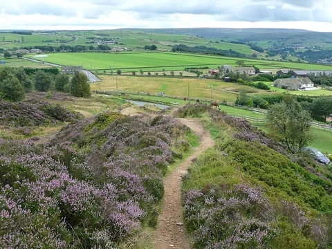 An image depicting the trail Calderdale Way and Calder and Hebble Navigation Loop and its surrounding area.
