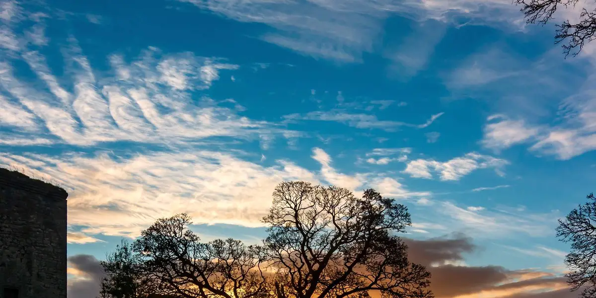 Burn Anne Walk - Galston