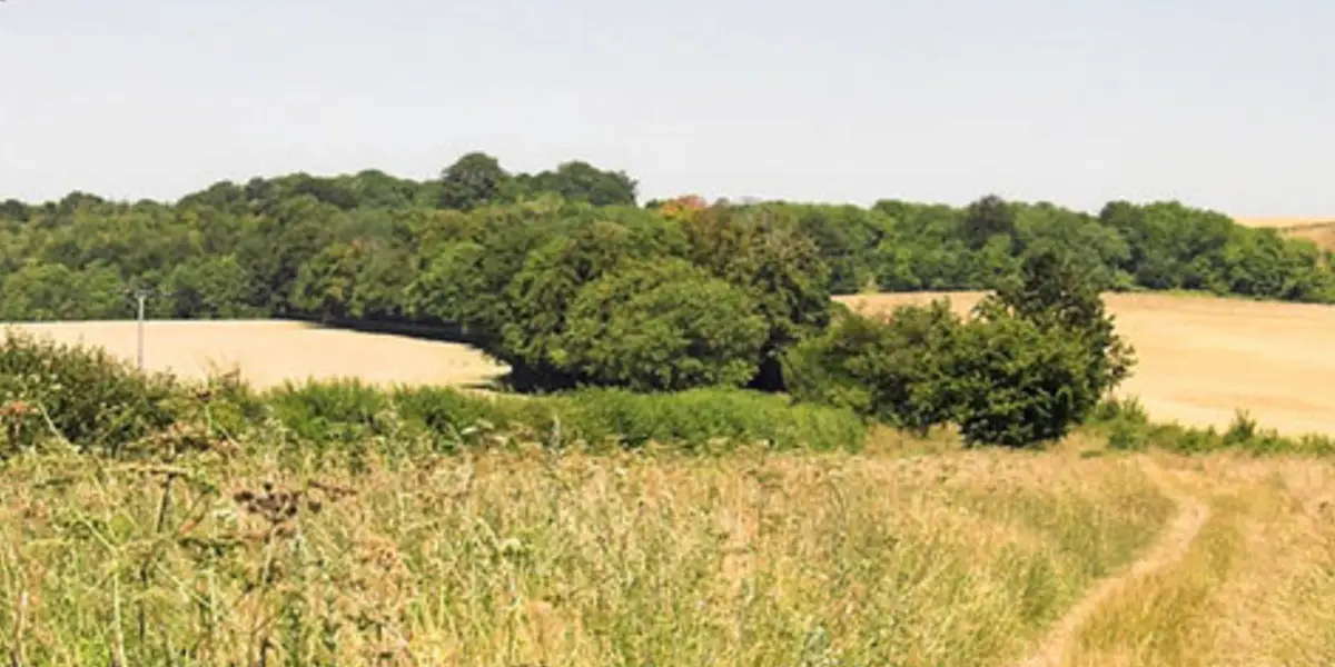 Hill Walking from Hexton