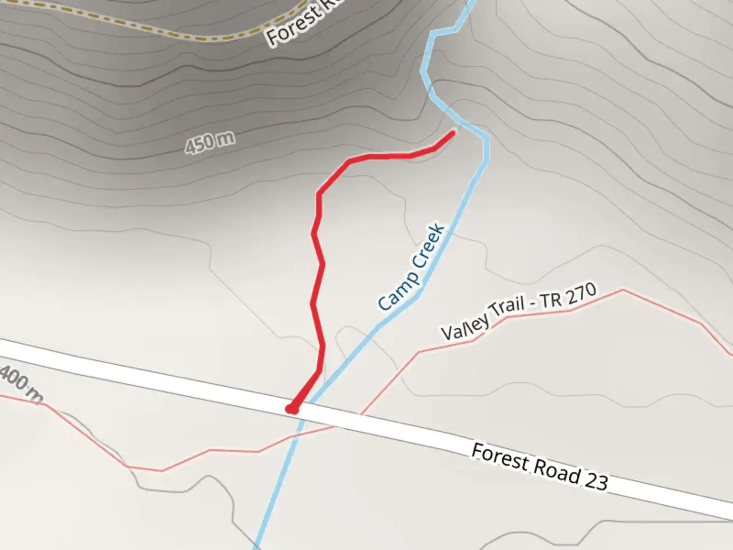 An image depicting the trail Camp Creek Falls and its surrounding area.