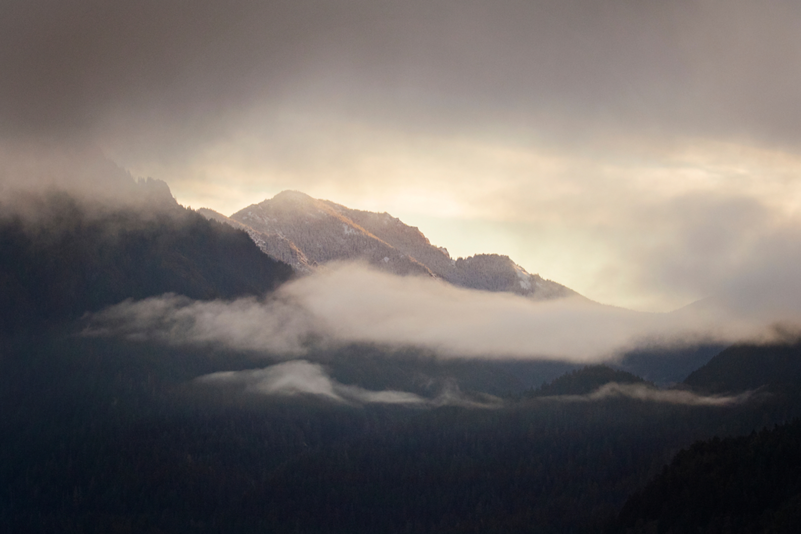 An image depicting the trail Clackamas Mountain Trail and its surrounding area.