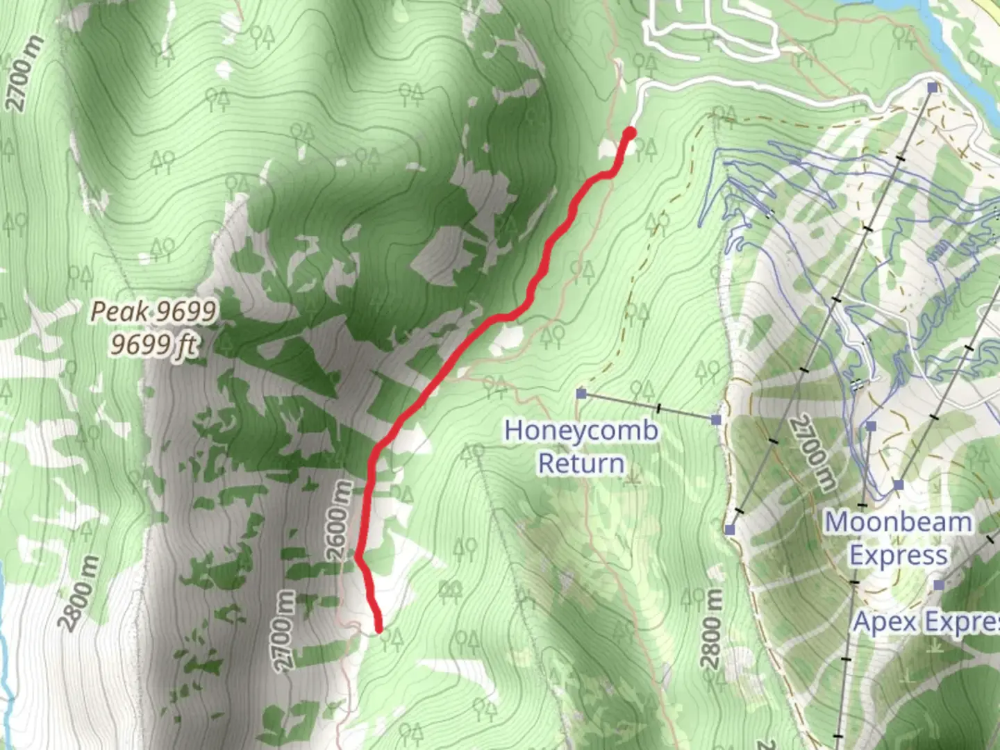 An image depicting the trail Silver Fork Walk and its surrounding area.