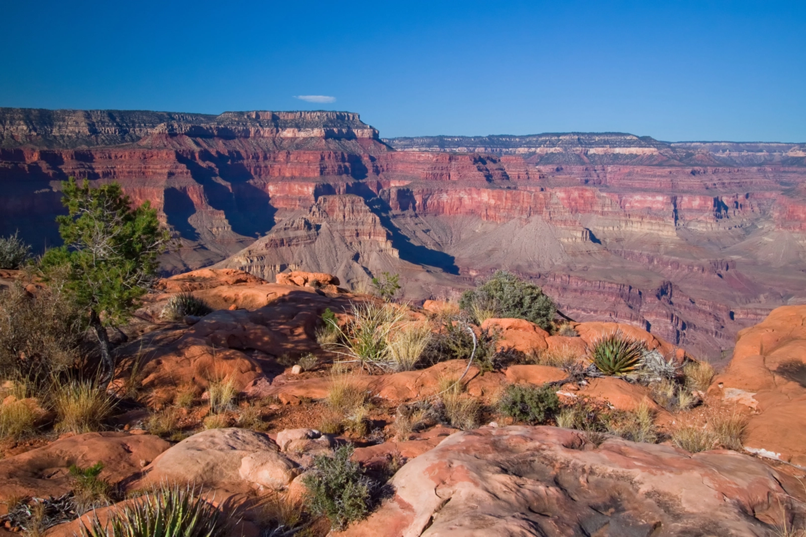 An image depicting the trail South Bass Trail and its surrounding area.