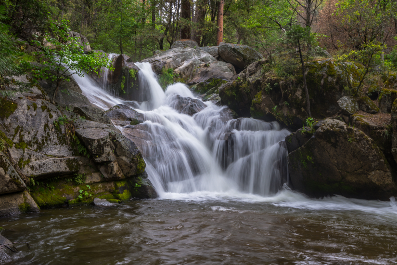 An image depicting the trail Lewis Creek Trail and its surrounding area.