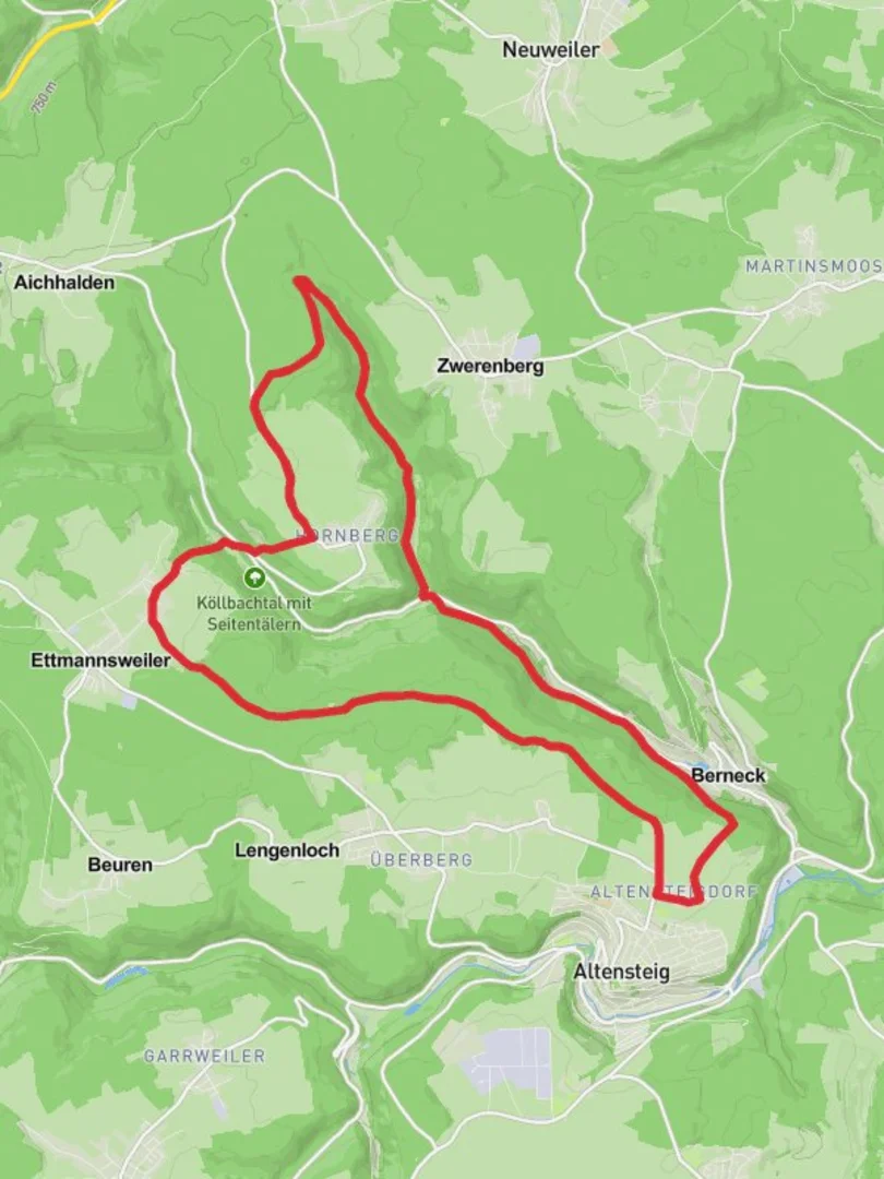 An image depicting the trail Altensteig and Hornberg Loop and its surrounding area.