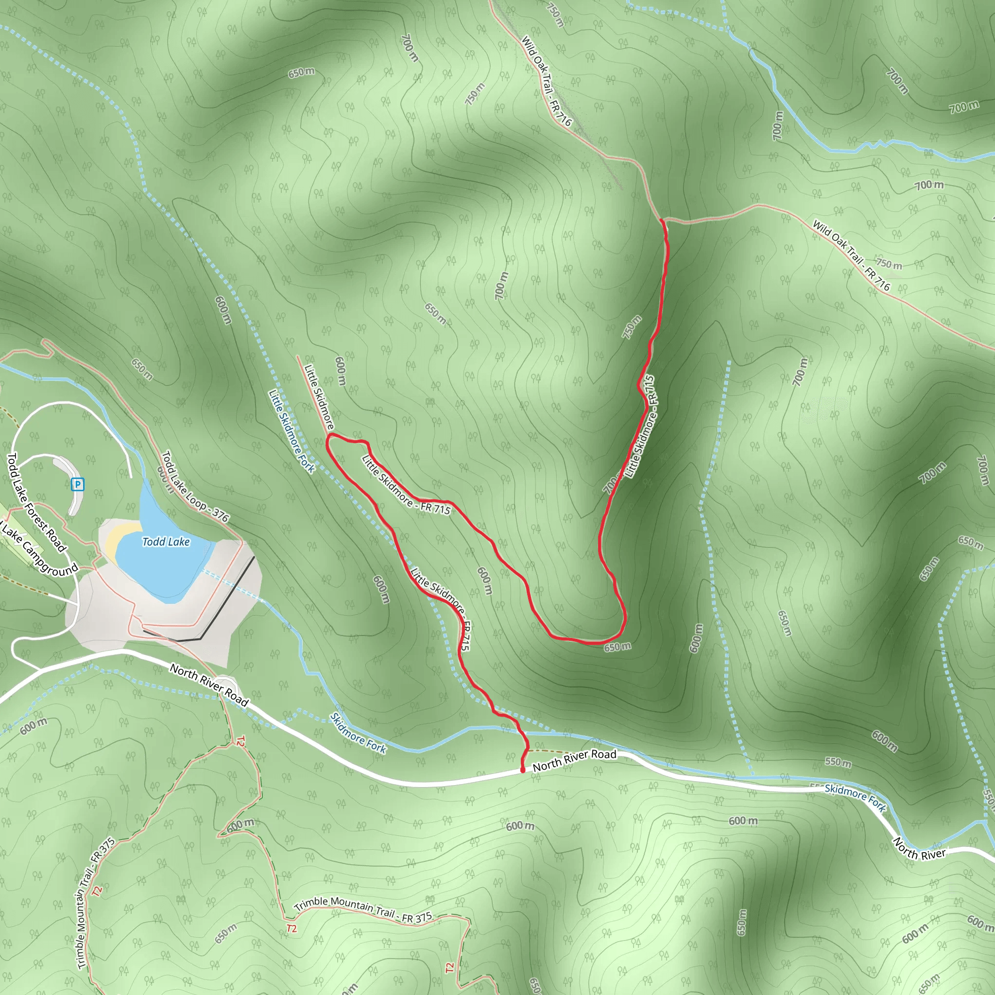 Little Skidmore Trail mobile static map