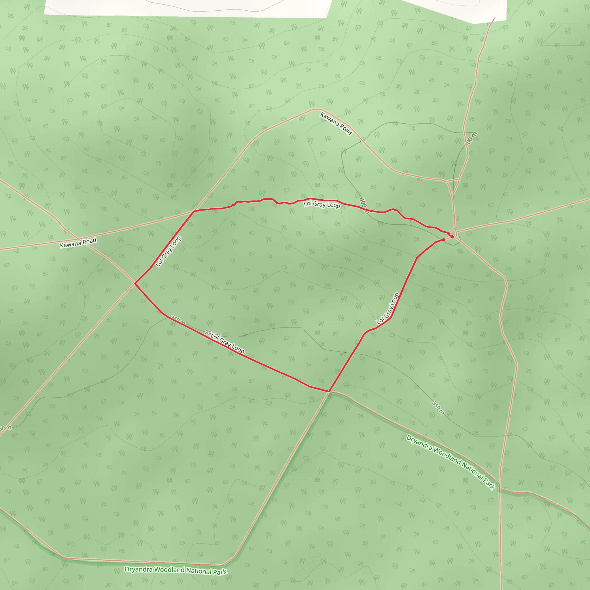 Lol Gray Loop mobile static map