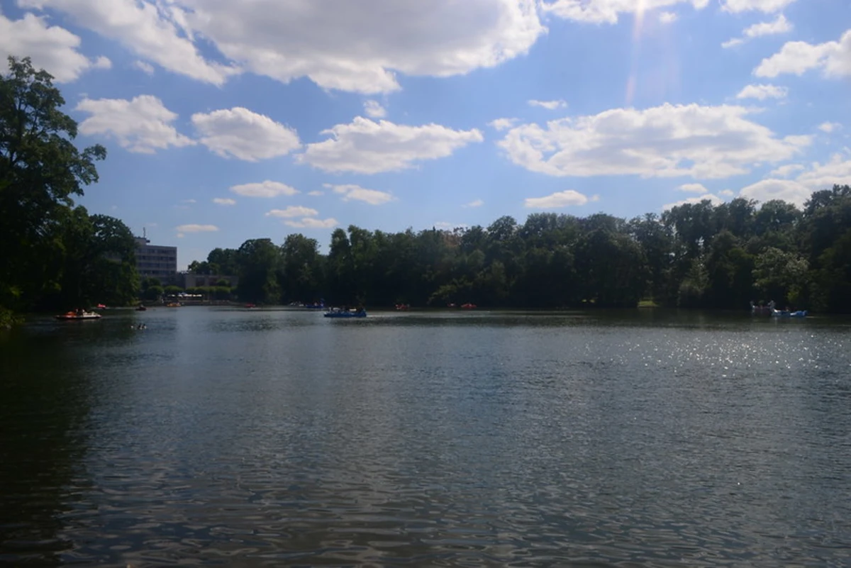 Stadwald and Kahnweiher Loop