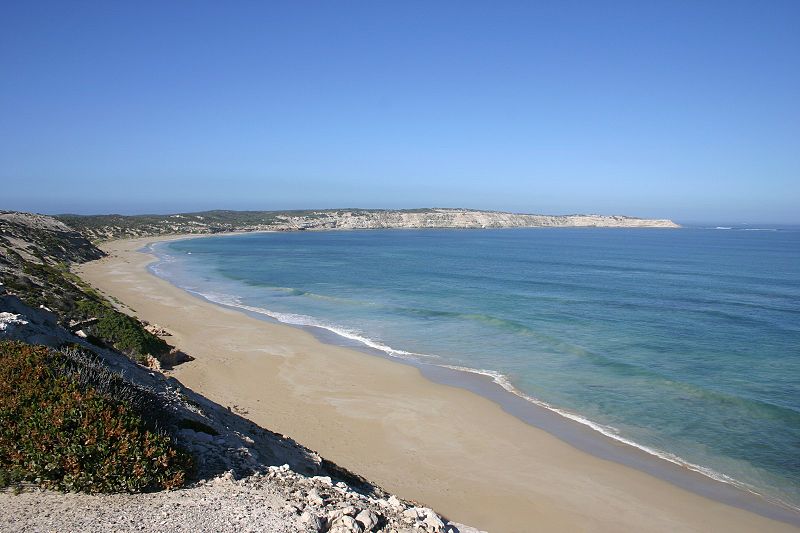 An image depicting the trail Coffin Bay National Park and its surrounding area.