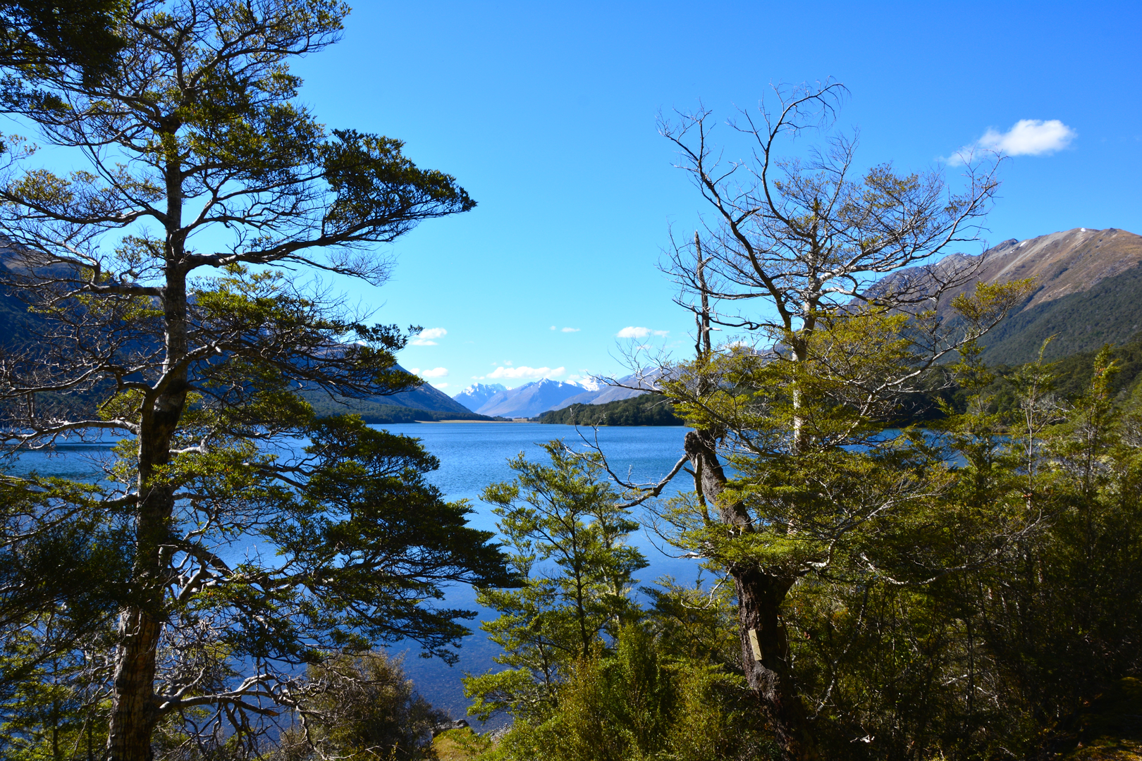 An image depicting the trail Lake Mavora to the Kiwi Burn Hut and its surrounding area.