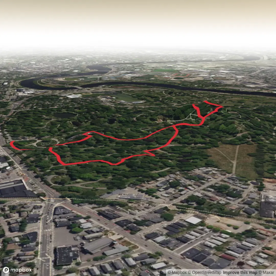 An image depicting the trail Mount Auburn Cementry Loop Trail and its surrounding area.
