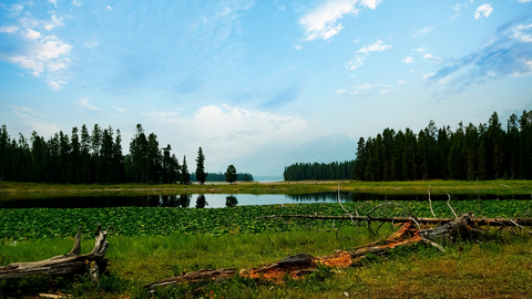 An image depicting the trail Jackson Lake Overlook via Hermitage Point Trail and its surrounding area.