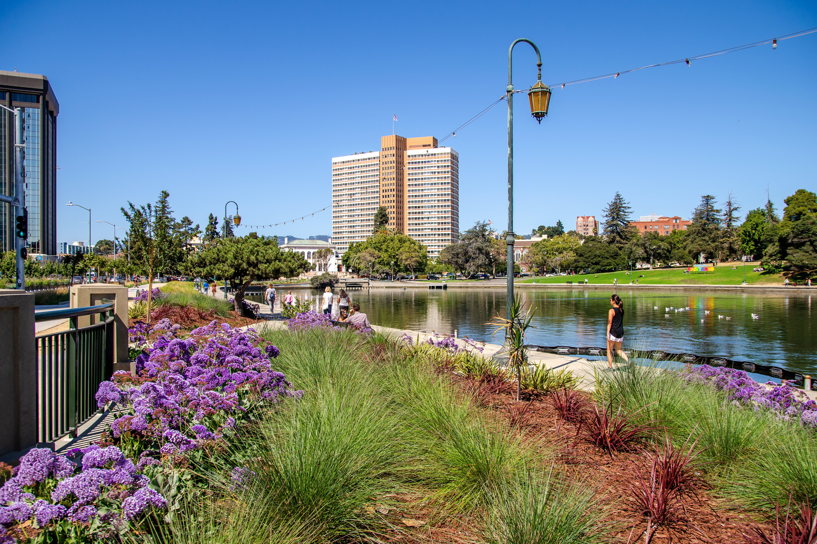 An image depicting the trail Lake Merritt Loop and its surrounding area.