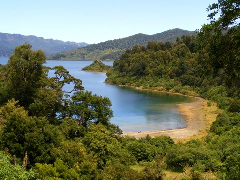 An image depicting the trail Lake Waikaremoana Great Walk and its surrounding area.