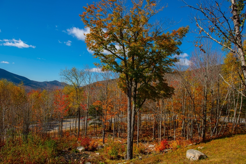 An image depicting the trail Hancock Loop via Hancock Notch Trail and its surrounding area.