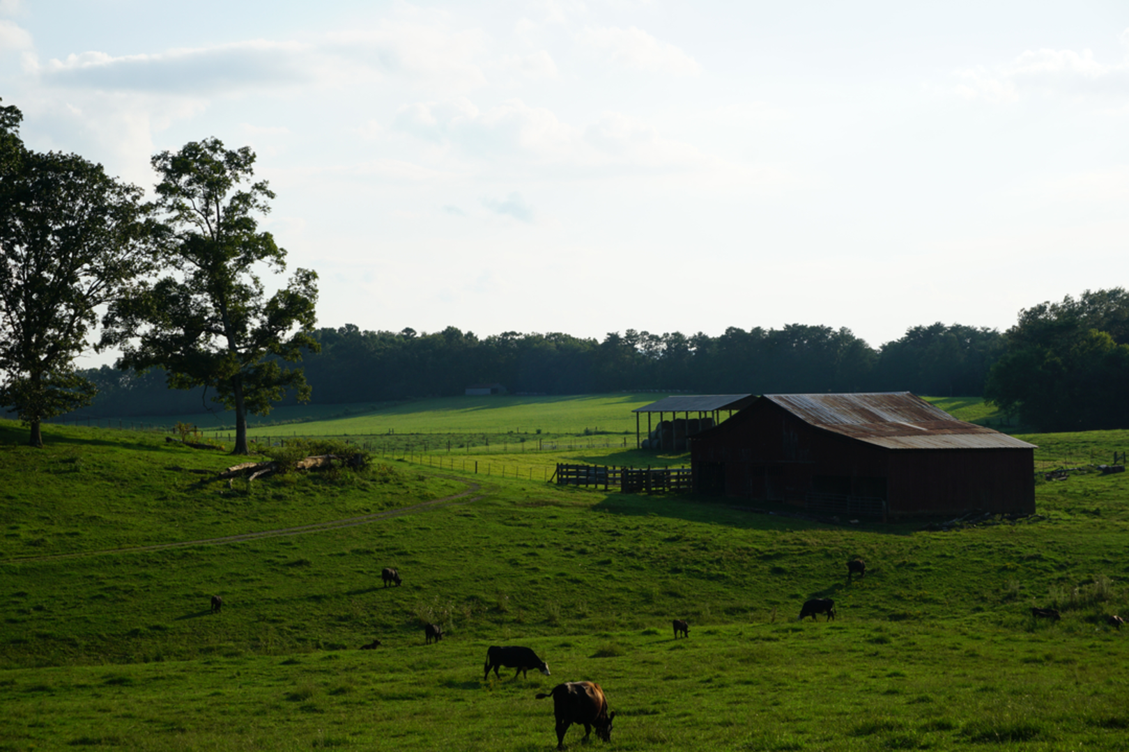 An image depicting the trail Hooper Bald Trail and its surrounding area.
