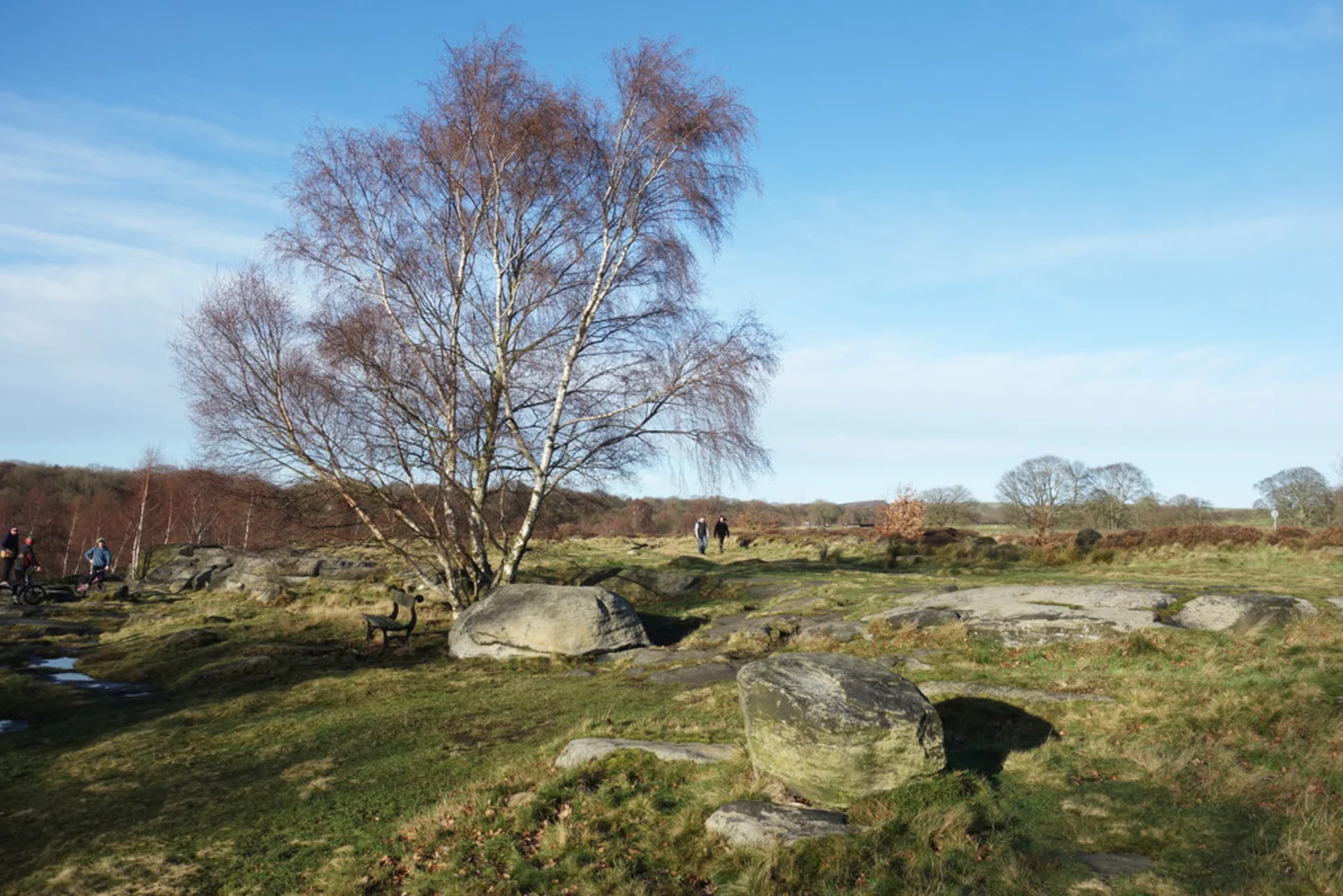 An image depicting the trail Hawksworth Spring and Shipley Glen Loop and its surrounding area.