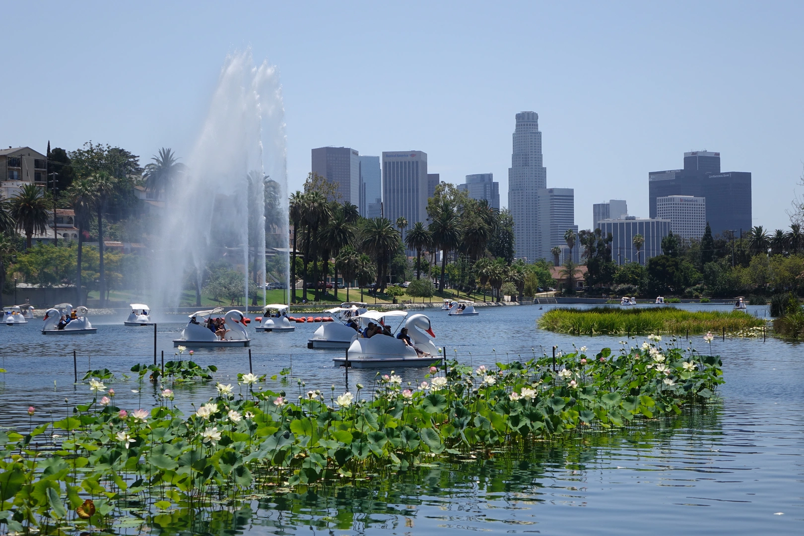 An image depicting the trail Echo Lake Loop and its surrounding area.