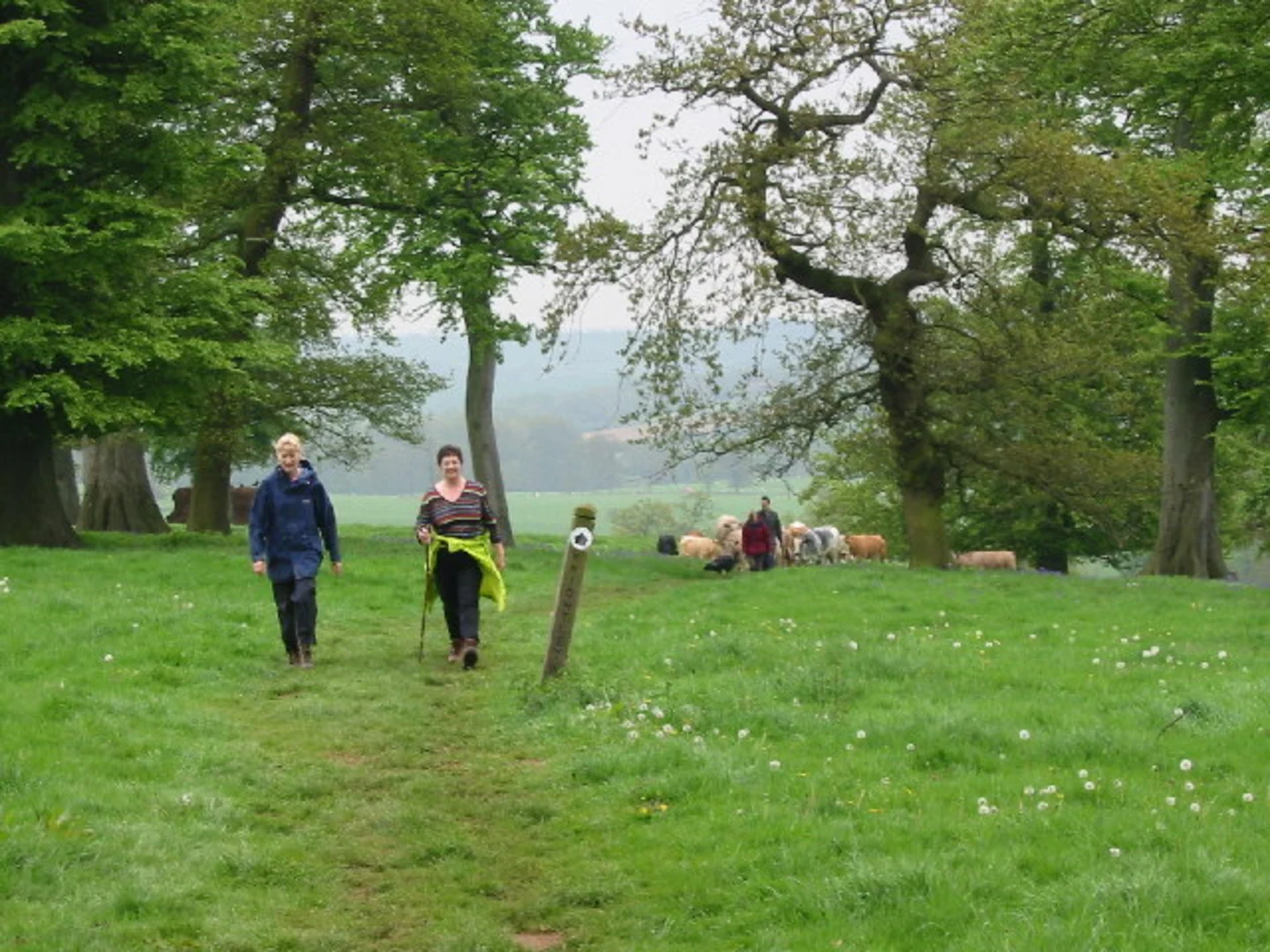 An image depicting the trail Fawsley Hall and its surrounding area.