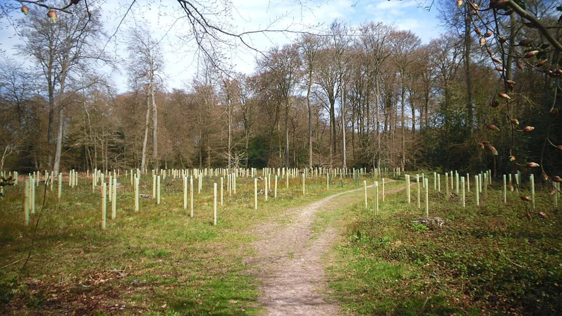 An image depicting the trail Caversham Circular Walk and its surrounding area.
