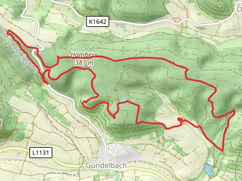 Steinbachhof Loop via Hamberg