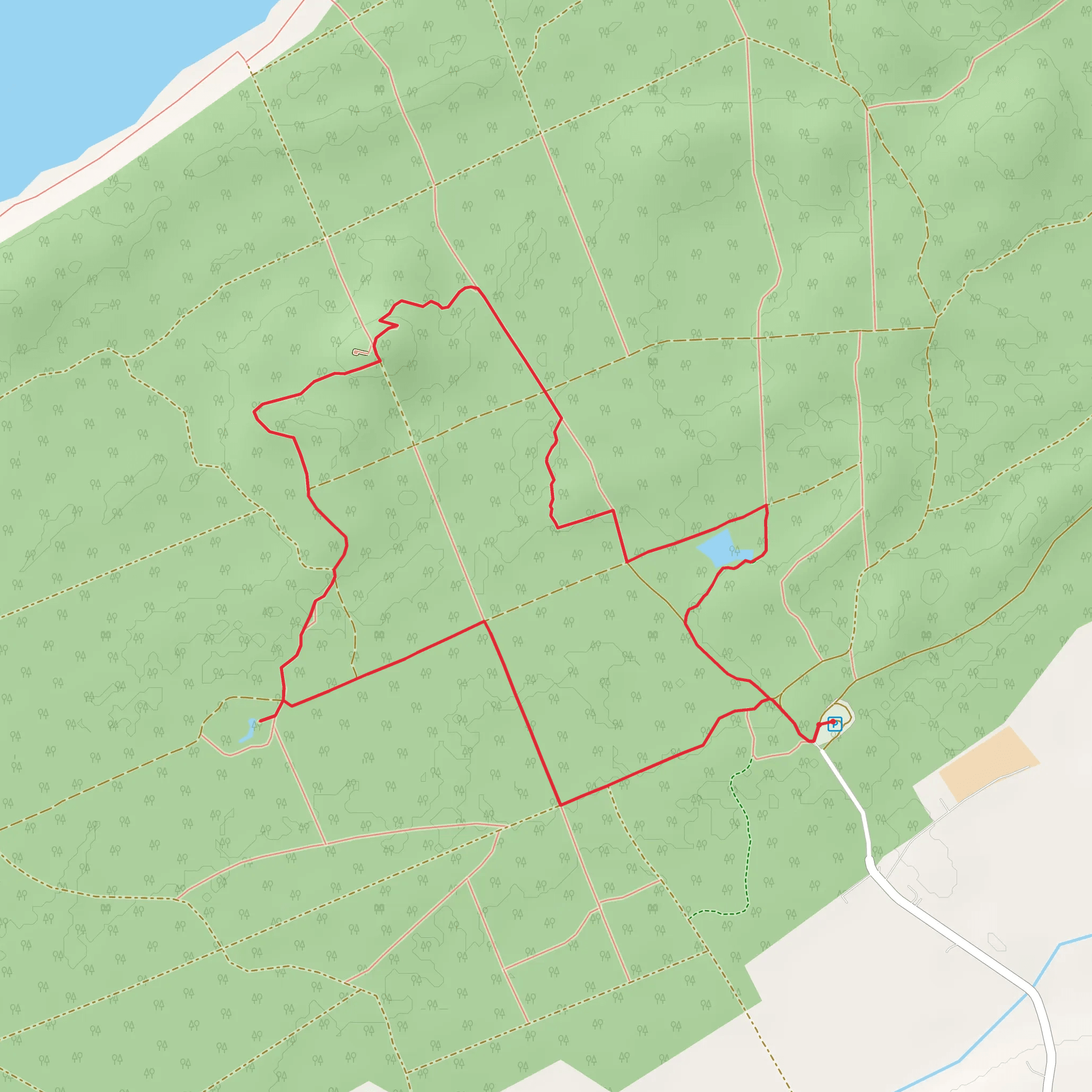 Hill 99 Loop from Wellhill mobile static map
