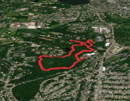 Allandale Woods Iii Loop