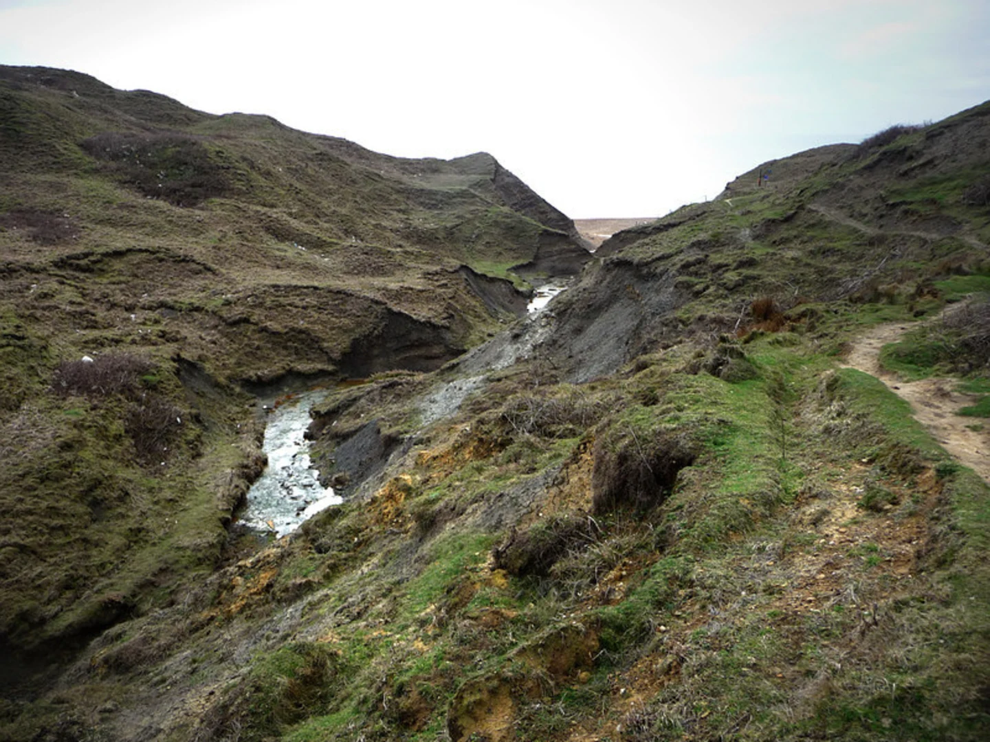 An image depicting the trail Sheperds Trail and its surrounding area.
