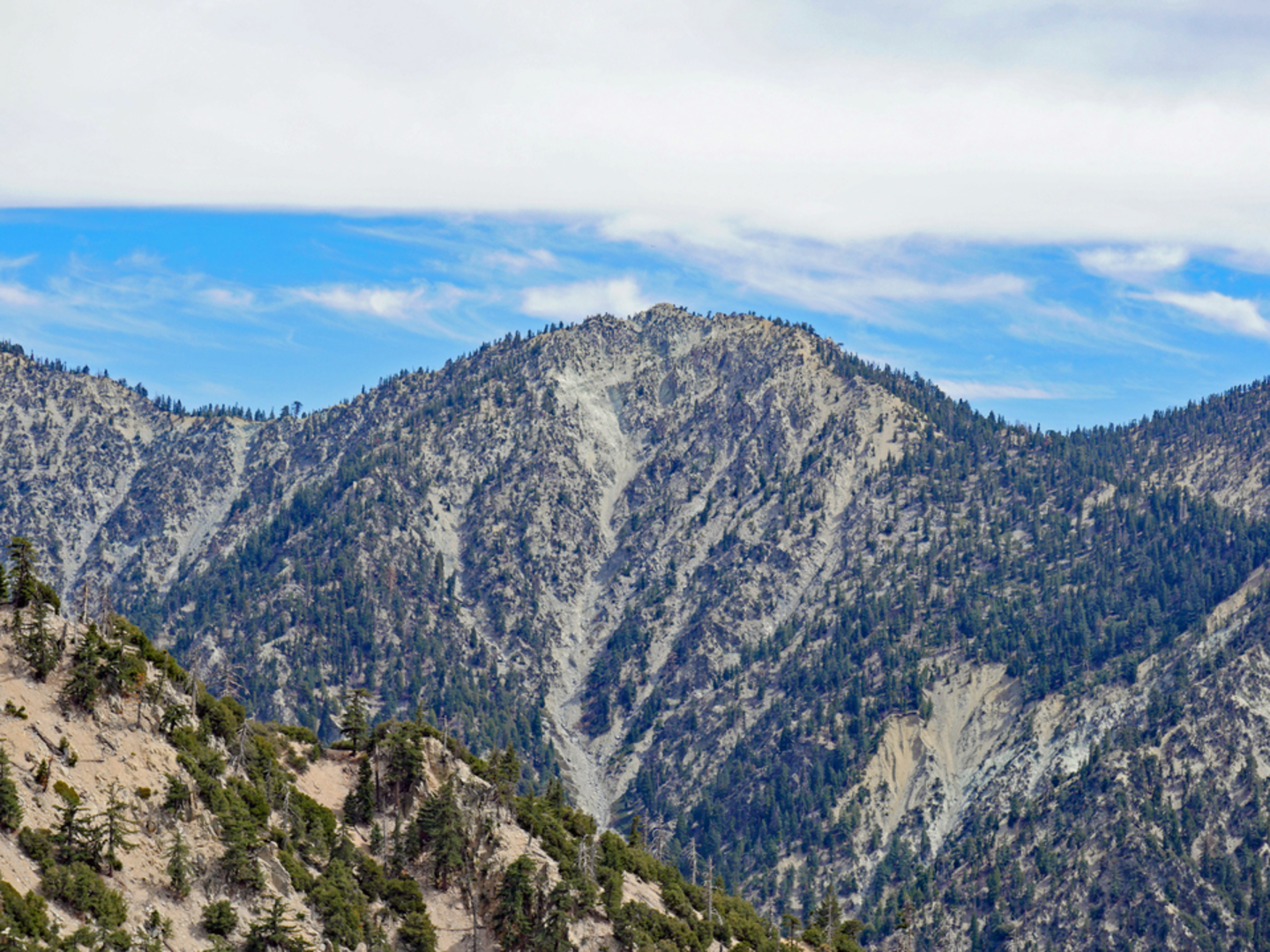 An image depicting the trail Little San Gorgonio Trail and its surrounding area.