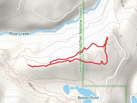 Kraule and Horse Trail