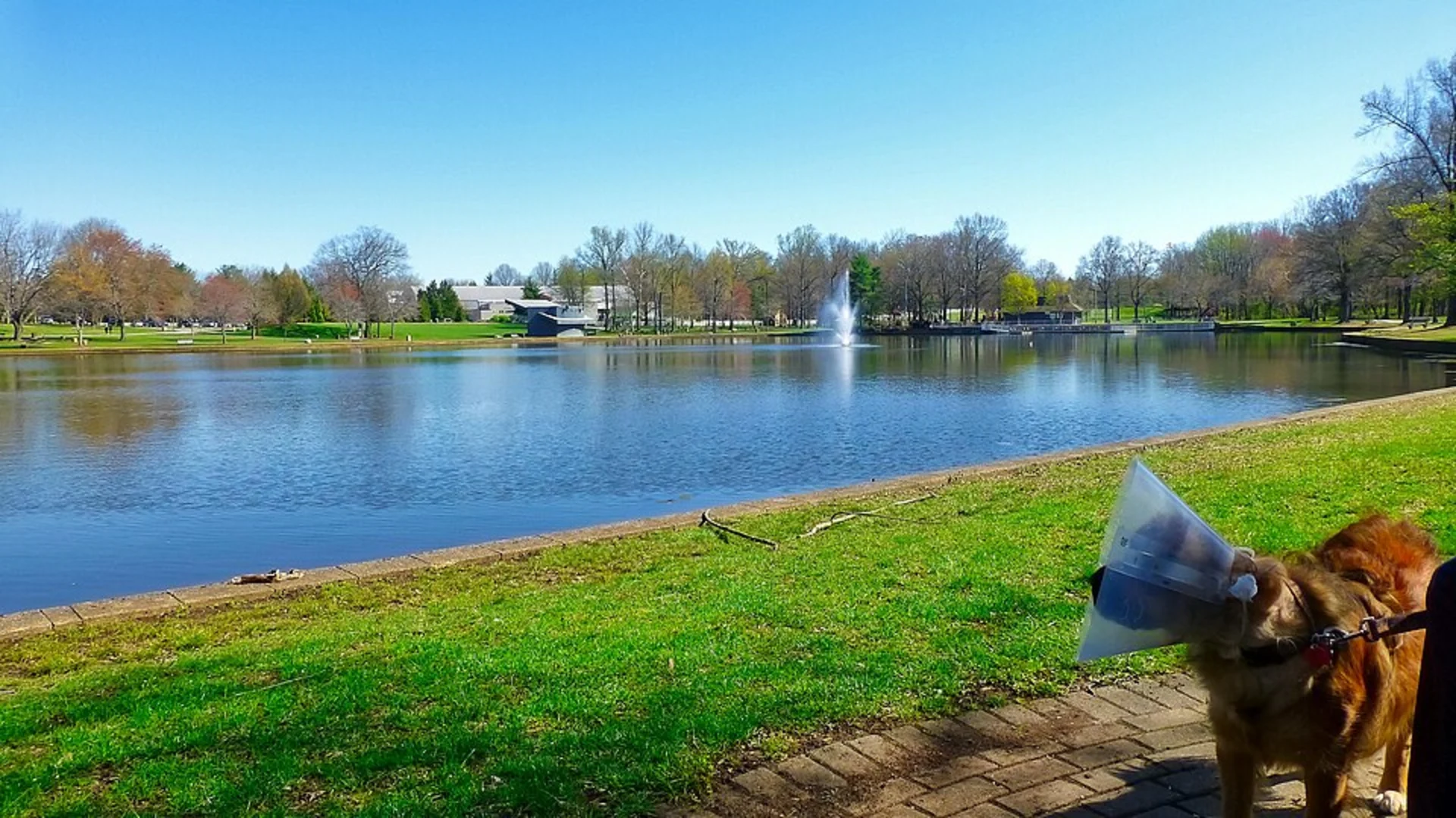 An image depicting the trail High Halstow to Gravesend Walk and its surrounding area.