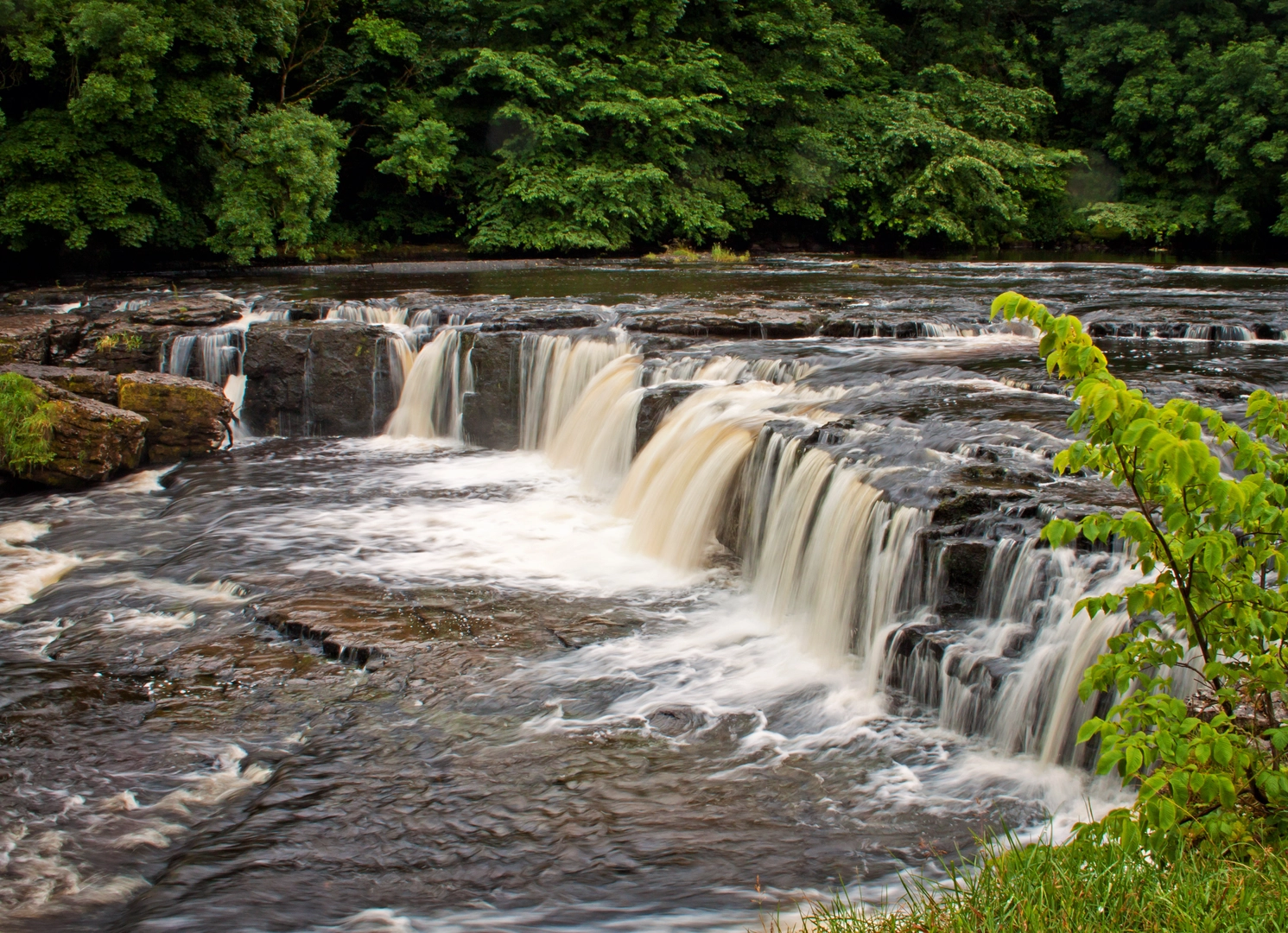 An image depicting the trail Aysgarth Falls and Caperby and its surrounding area.