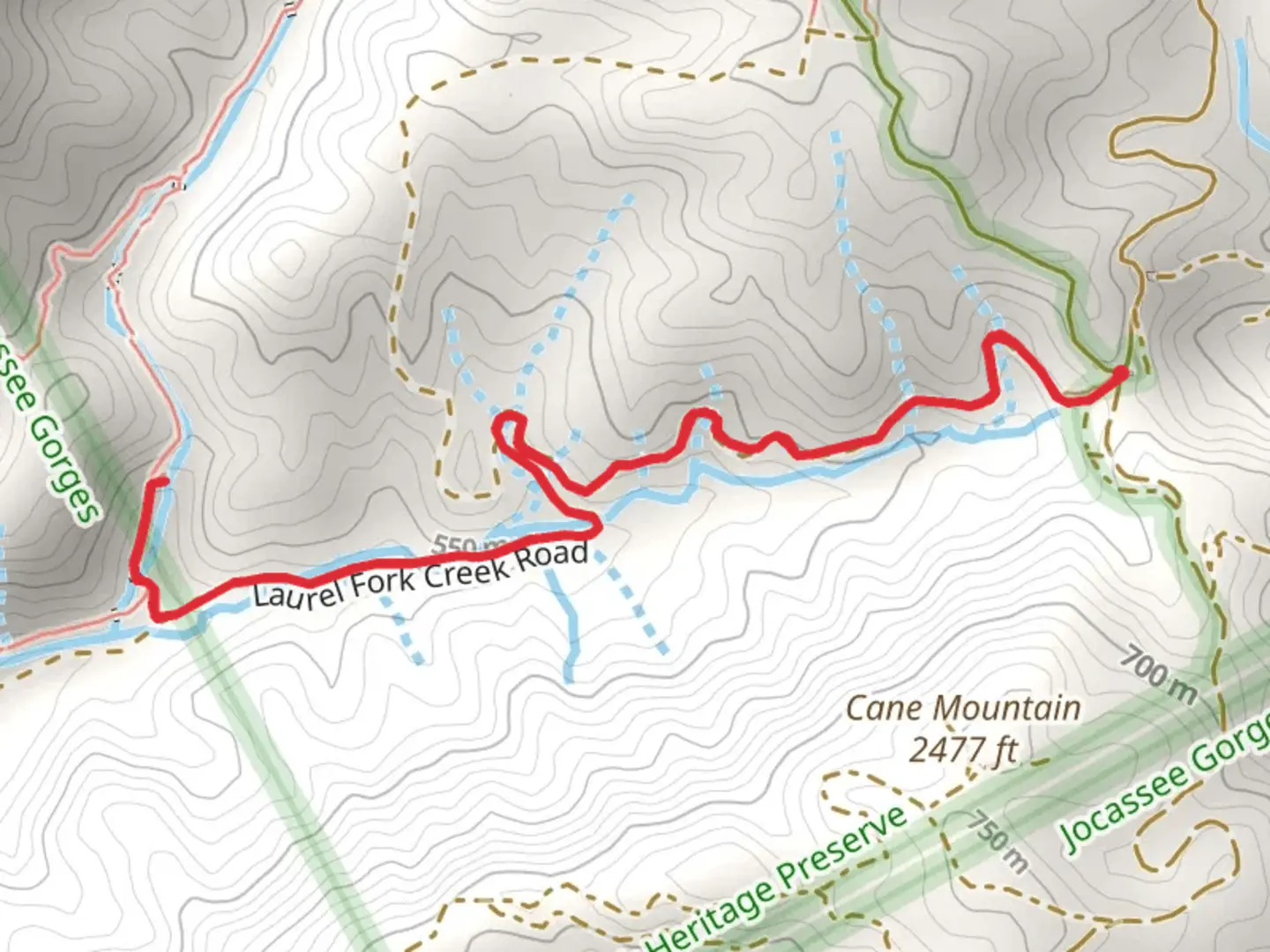 An image depicting the trail Laurel Fork Creek Road and its surrounding area.