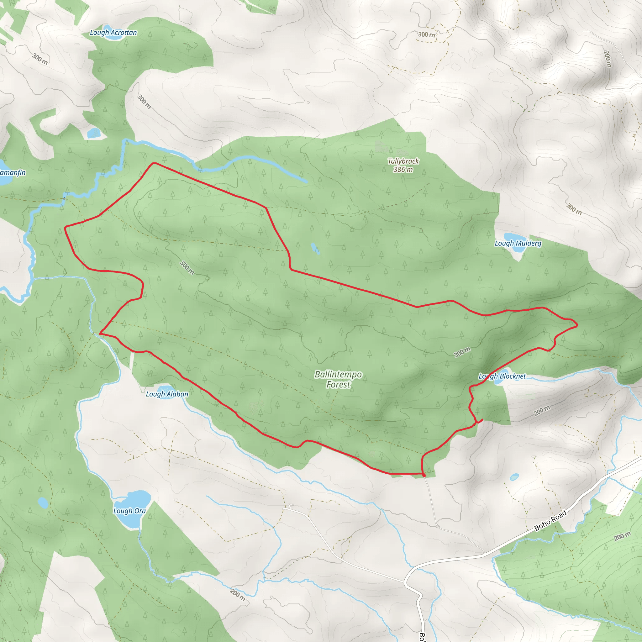 Ballintempo Forest - Aghanaglack Walk mobile static map