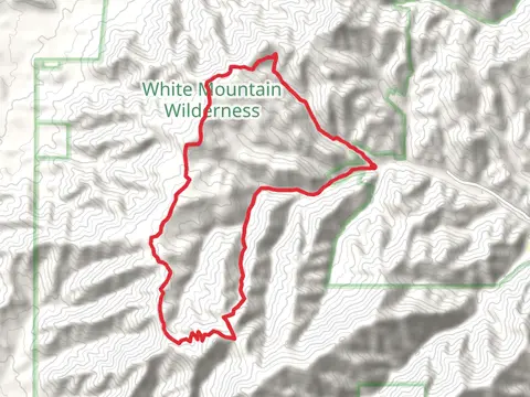 Argentina peak and Aspen Canyon via Big Bonito Trail