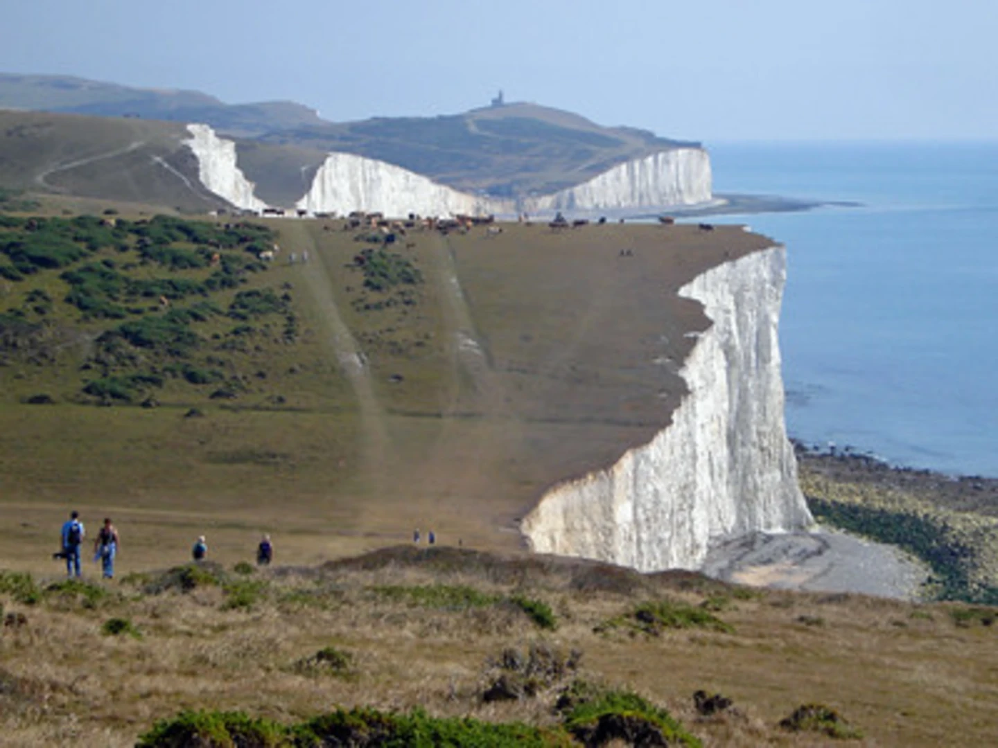 An image depicting the trail Friston Forest, Westdean, Seven Sisters Cliffs Loop - Jevington and its surrounding area.