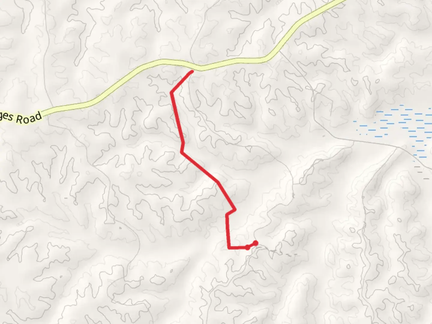 An image depicting the trail Castor Creek and its surrounding area.