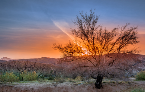 An image depicting the trail Mormon Rocks Interpretive Trail and its surrounding area.